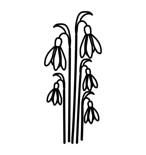 Schneeglöckchen Floral Hand Gezeichnetes Symbol Vektor Design Illustration Zeichen Logo — Stockvektor