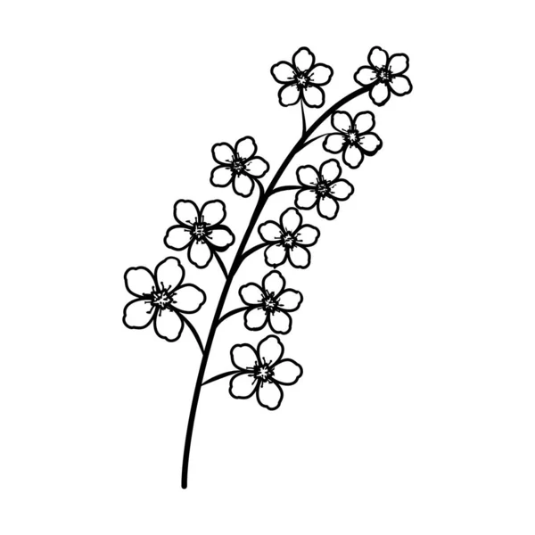 Kirschblüten Blumen Handgezeichnetes Symbol Vektor Design Illustration Zeichen Logo — Stockvektor