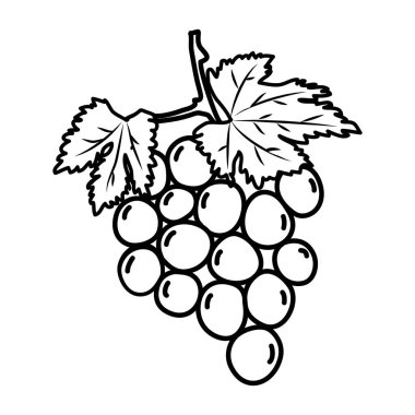Üzüm Meyvesi Simgesi. Vektör Tasarımı İllüstrasyon İşareti Logosu.
