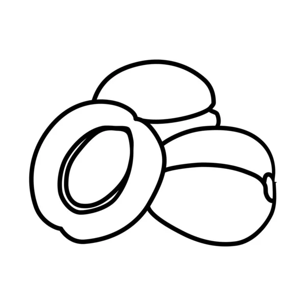 Ícone Fruta Damasco Vector Design Ilustração Signo Logo — Fotografia de Stock
