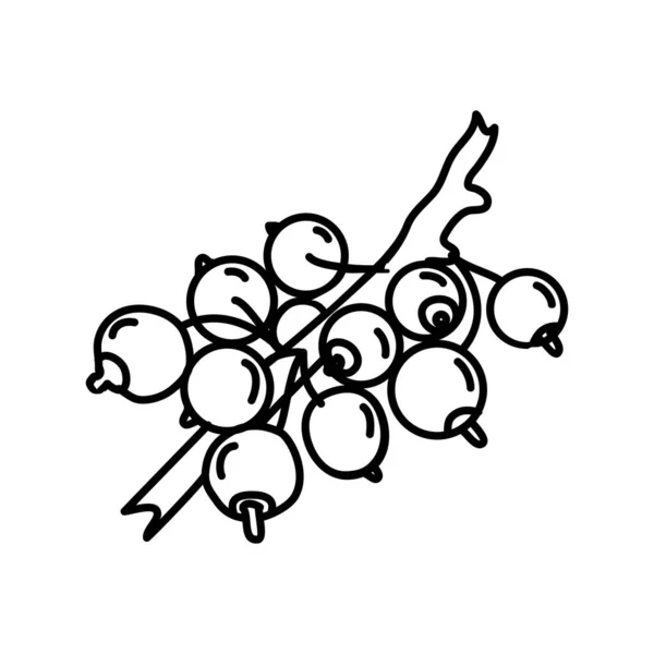 Černá Rybíz Ikona Ovoce Logo Nápisu Vektorový Design — Stock fotografie