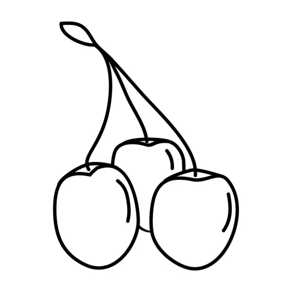 Kirschfrucht Ikone Vektor Design Illustration Zeichen Logo — Stockfoto