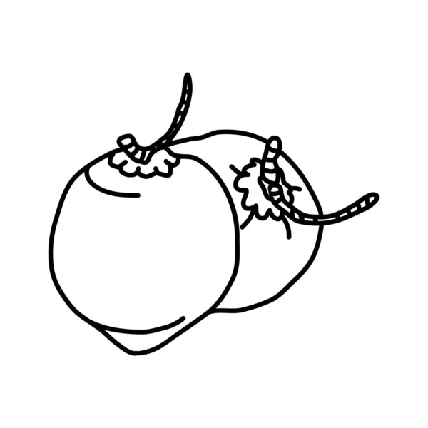 Coconut Fruit Icon Vector Design Illustration Sign Logo — Stock Photo, Image