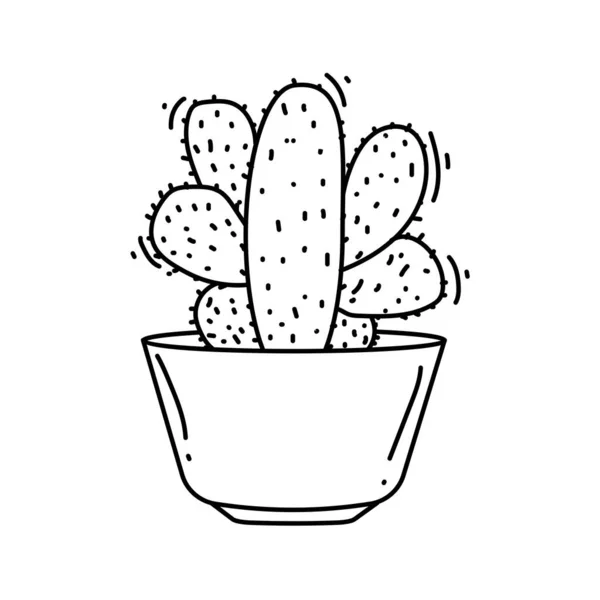 Cactus Jardinería Icono Mano Dibujado Icono Conjunto Contorno Negro Garabato Vectores De Stock Sin Royalties Gratis