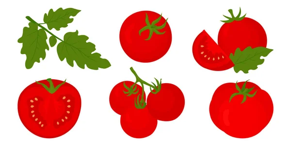 用白色背景矢量图分离出的全番茄和半番茄红色番茄 — 图库矢量图片