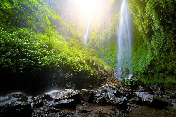 Cascata nella giungla profonda . — Foto Stock