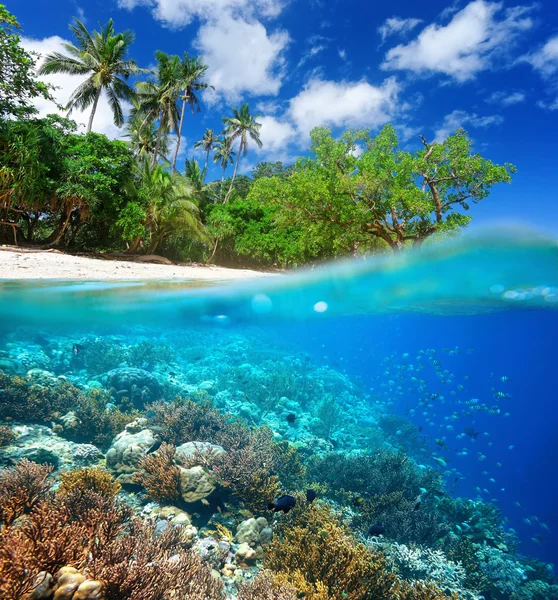 Arrecife de coral en el mar tropical . — Foto de Stock