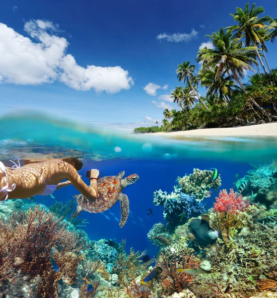 Ung kvinna snorkling över korallrev i tropiska hav. — Stockfoto