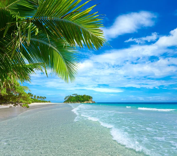 Hermosa playa tropical en el fondo de la isla —  Fotos de Stock