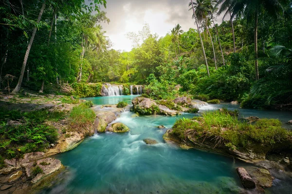 Deep forest waterfall  National Park. — Stock Photo, Image
