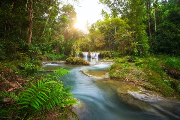 Deep forest waterfall  National Park — Stock Photo, Image
