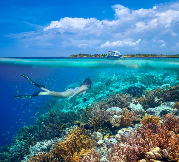 Una mujer haciendo snorkel cerca del hermoso arrecife de coral con mucha fi —  Fotos de Stock