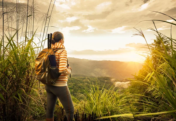 Young woman backpacker traveling along green mountains on sunris — Stock Photo, Image