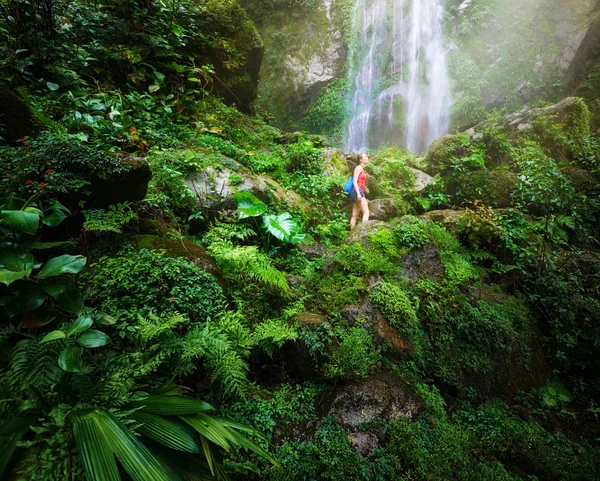 Mochileiro jovem viajando ao longo das selvas, no fundo waterfal — Fotografia de Stock