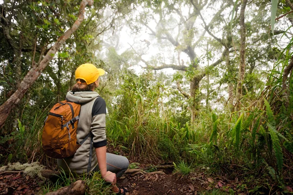 Voyageur regardant des singes sauvages dans la jungle . — Photo