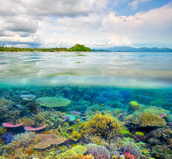 Hermosa isla tropical en Lombok, Indonesia bajo y por encima de wa —  Fotos de Stock