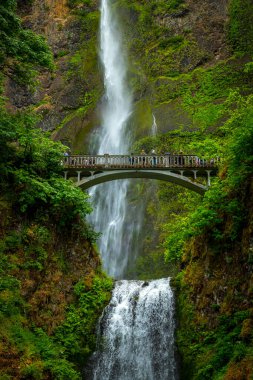 Su güçlü bir şekilde Multnomah Şelalesi 'nin yükseklerinden akar. Etrafı yemyeşil ve kayalık uçurumlarla çevrilidir. Columbia Nehri Boğazı' nın yanında..
