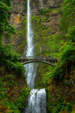 Su güçlü bir şekilde Multnomah Şelalesi 'nin yükseklerinden akar. Etrafı yemyeşil ve kayalık uçurumlarla çevrilidir. Columbia Nehri Boğazı' nın yanında..