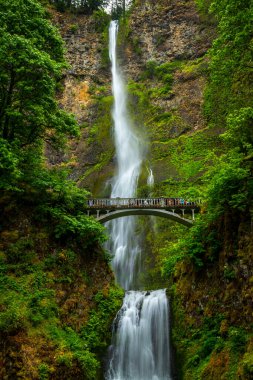 Su güçlü bir şekilde Multnomah Şelalesi 'nin yükseklerinden akar. Etrafı yemyeşil ve kayalık uçurumlarla çevrilidir. Columbia Nehri Boğazı' nın yanında..