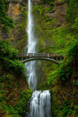Su güçlü bir şekilde Multnomah Şelalesi 'nin yükseklerinden akar. Etrafı yemyeşil ve kayalık uçurumlarla çevrilidir. Columbia Nehri Boğazı' nın yanında..