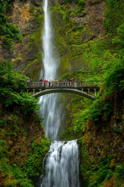 Su güçlü bir şekilde Multnomah Şelalesi 'nin yükseklerinden akar. Etrafı yemyeşil ve kayalık uçurumlarla çevrilidir. Columbia Nehri Boğazı' nın yanında..