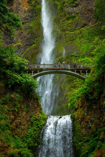 Su güçlü bir şekilde Multnomah Şelalesi 'nin yükseklerinden akar. Etrafı yemyeşil ve kayalık uçurumlarla çevrilidir. Columbia Nehri Boğazı' nın yanında..