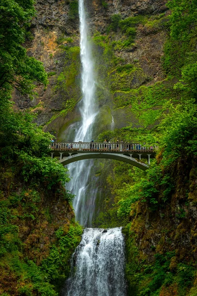 Su güçlü bir şekilde Multnomah Şelalesi 'nin yükseklerinden akar. Etrafı yemyeşil ve kayalık uçurumlarla çevrilidir. Columbia Nehri Boğazı' nın yanında..