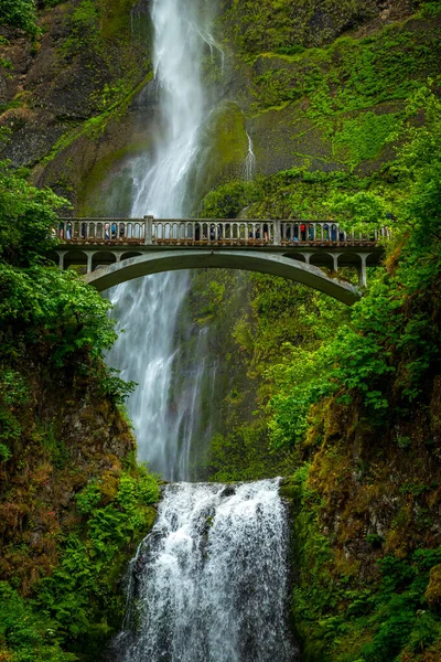 Su güçlü bir şekilde Multnomah Şelalesi 'nin yükseklerinden akar. Etrafı yemyeşil ve kayalık uçurumlarla çevrilidir. Columbia Nehri Boğazı' nın yanında..
