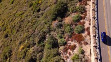 San Bernardino Ulusal Ormanı 'ndaki renkli sonbahar yeşillikleri ve görkemli dağlarla Dünya Sahne Geçidi' nde tepeden aşağı üstgeçit.