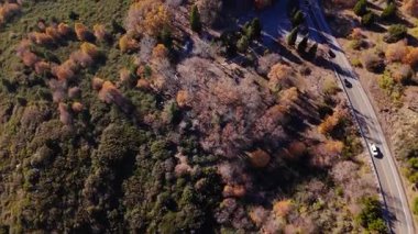San Bernardino Ulusal Ormanı 'ndaki renkli sonbahar yaprakları ve görkemli dağlarıyla Dünya Sahne Geçidi' nin Halkası boyunca uzanan yüksek hava manzarası.