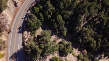 San Bernardino Ulusal Ormanı 'ndaki Dünya Sahne Geçidi' nin dolambaçlı şeridi boyunca uzanan göz kamaştırıcı manzaralar.