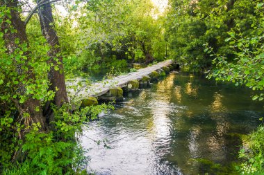 Acenhas de Baion, Vilanova de Arousa 'daki orman ormanı arasında Umia Nehri' ni geçen yaya köprüsü.