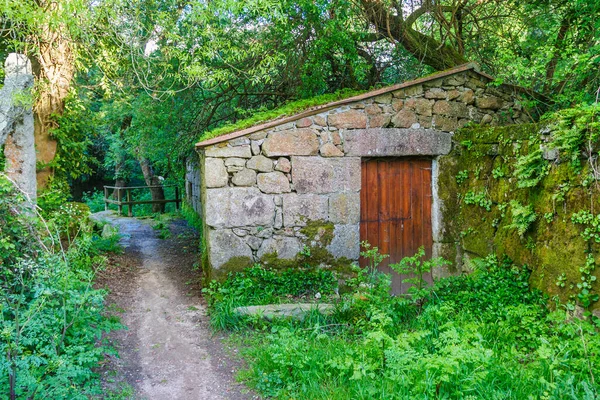 Watermolen Het Bos Van Umia Rivier Baion Vilanova Arousa Galicië — Stockfoto