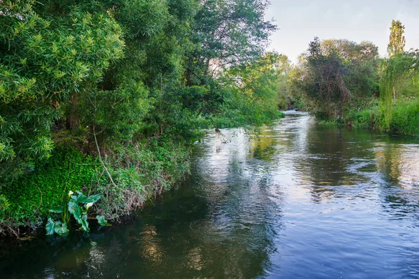 Las Brzegowy Rzeki Umia Baion Vilanova Arousa Galicja Hiszpania — Zdjęcie stockowe