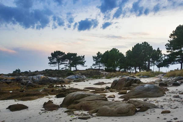 Felsen Und Kiefern Xastelas Point Carreiron Naturpark Insel Arousa Abend — Stockfoto