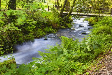 Ribadumia kasabasındaki taş ve su yolunun yaya köprüsünün altından akan Armenteira nehri.