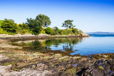 Neixon noktasındaki ağaçlar Boiro kasabasındaki denizi yansıtıyor.