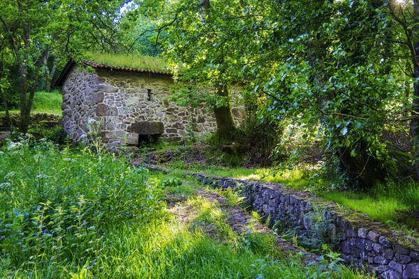 Watermolen Het Groene Atlantische Woud Langs Steen Waterroute Meis Galicië — Stockfoto