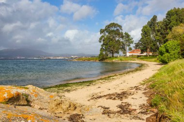 Vilanova de Arousa 'daki plaj ve ağaçlar, Galiçya, İspanya