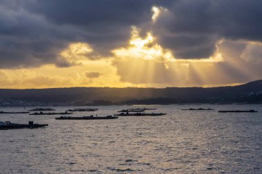 Arousa 'da fırtınalı günbatımının altında midye sulu salları
