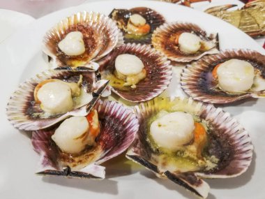 Izgara kraliçe deniz tarağı, soslu Aequipecten opercularis.