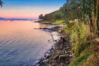 Arousa Adası 'ndaki Nasos plajı.