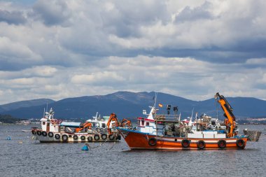 Arousa Estuary 'de demirli midye su tarımı tekneleri.