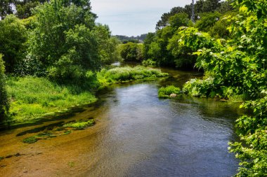 Umia nehri Pontearnelas, Vilanova de Arousa kasabasındaki yeşil ırmak bitkisinden akıyor.