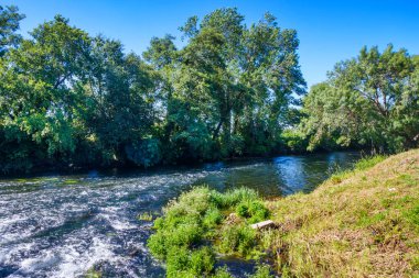 İspanya, Galiçya 'nın Ribadumia kasabasındaki nehir ormanı arasında akan Umia nehri suyu.