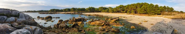 Carreiron Doğal Parkındaki Cova Fiel Plajının Panoramik Manzarası Arousa Adası — Stok fotoğraf