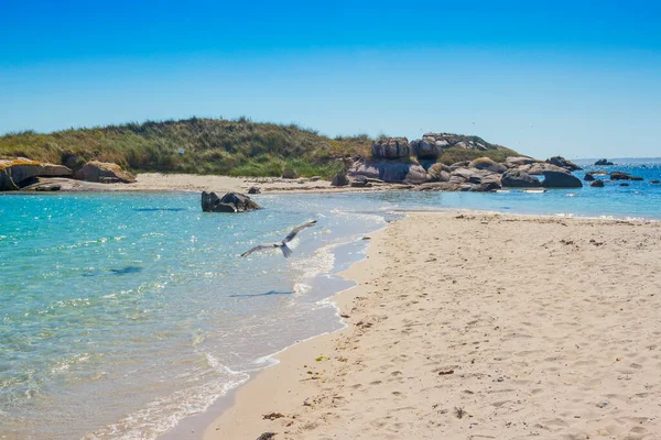 Innalzamento Del Livello Del Mare Rompe Isola Areoso Durante Alta — Foto Stock