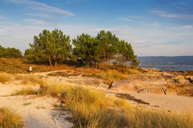 İspanya, Galiçya 'daki Arousa Adası' ndaki Carreiron doğal parkının kıyı şeridine yakın bir yol.