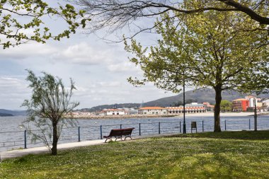 Parkta üzerinde bahar