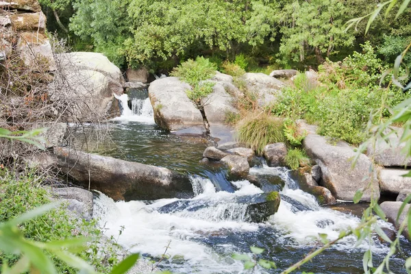 Cachoeira no rio Umia — Fotografia de Stock